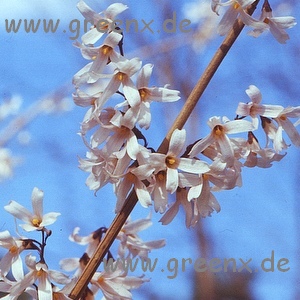 Bildausschnitt