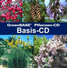Cover Basis-CD